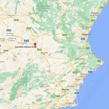 Cargar imagen en el visor de la galería, In Cryohops We Trust