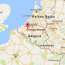 Cargar imagen en el visor de la galería, Delirium Tremens