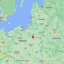 Cargar imagen en el visor de la galería, Ghost Train