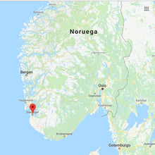 Cargar imagen en el visor de la galería, Hipster For Christmas 2020 Edition