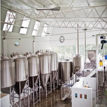 Cargar imagen en el visor de la galería, Doble IPA