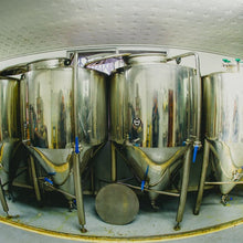 Cargar imagen en el visor de la galería, Citra