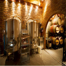 Cargar imagen en el visor de la galería, Troubadour Imperial Stout