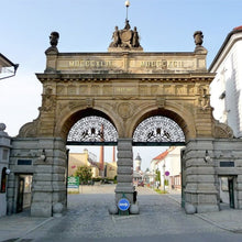 Cargar imagen en el visor de la galería, #N/A