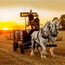 Cargar imagen en el visor de la galería, #N/A