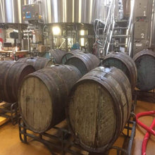 Cargar imagen en el visor de la galería, Dr. Raptor’s Laboratory Vol. 2