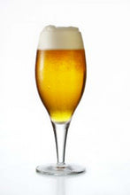 Cargar imagen en el visor de la galería, Bohemian Lager (Světlý ležák 12)